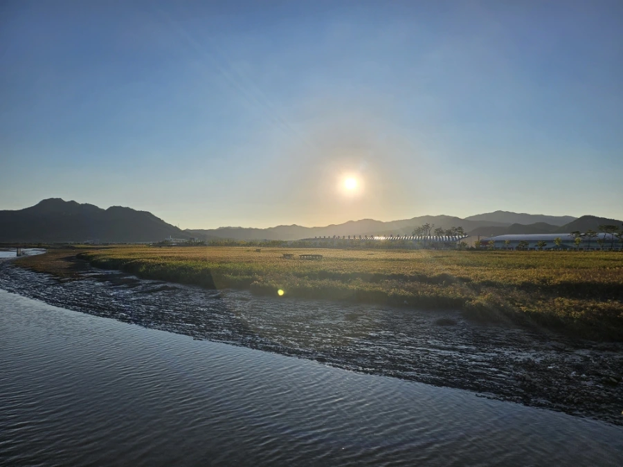 20241004%EF%BC%BF173126.jpg?type=w966