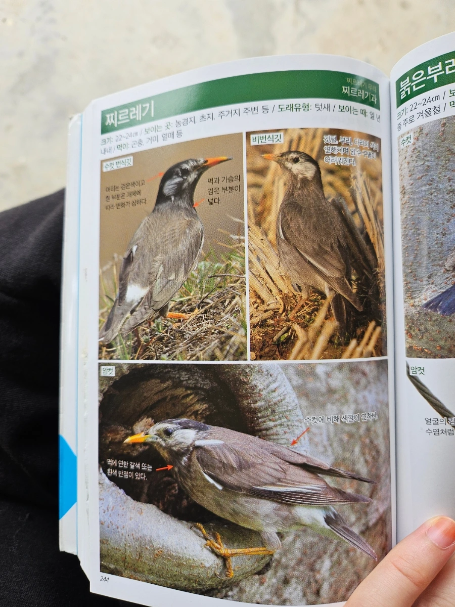 20241006%EF%BC%BF130537.jpg?type=w966