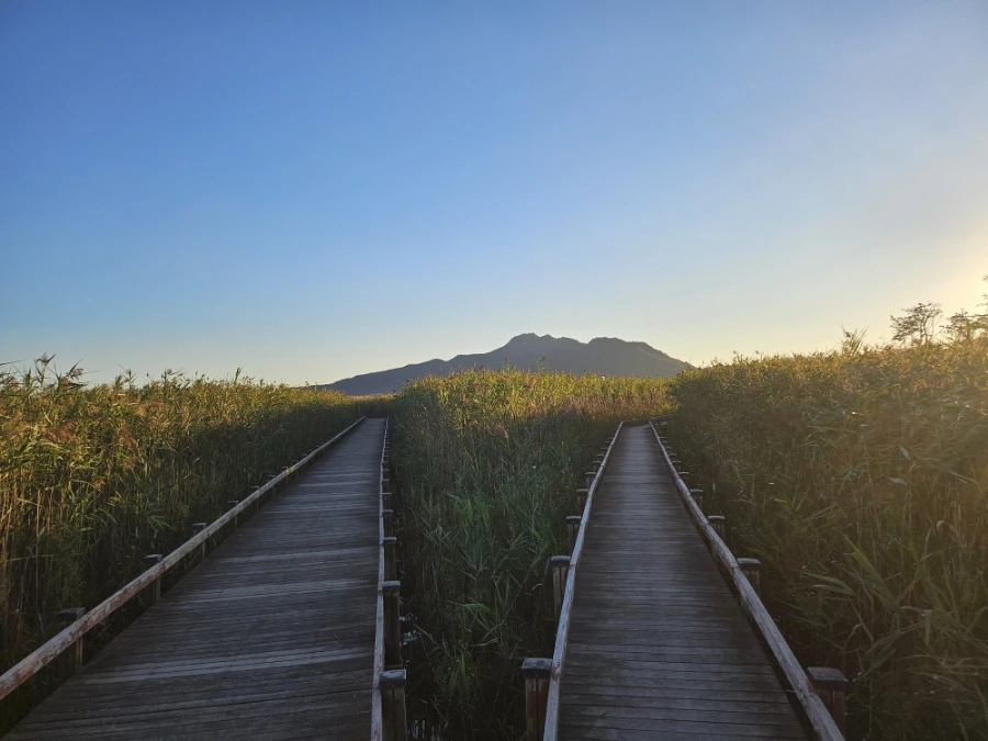 20241004%EF%BC%BF173942.jpg?type=w966