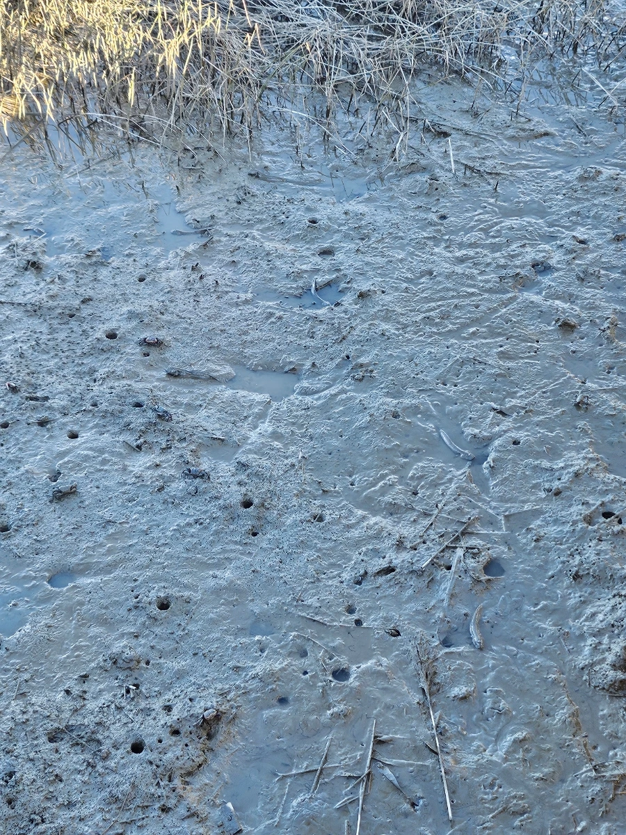 20241004%EF%BC%BF163500.jpg?type=w966