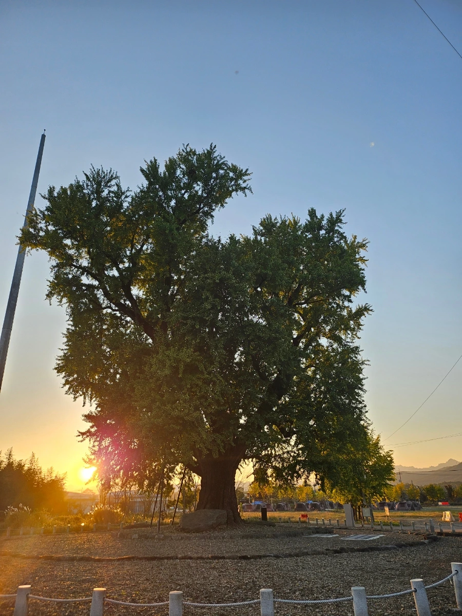 20241024%EF%BC%BF172909.jpg?type=w966