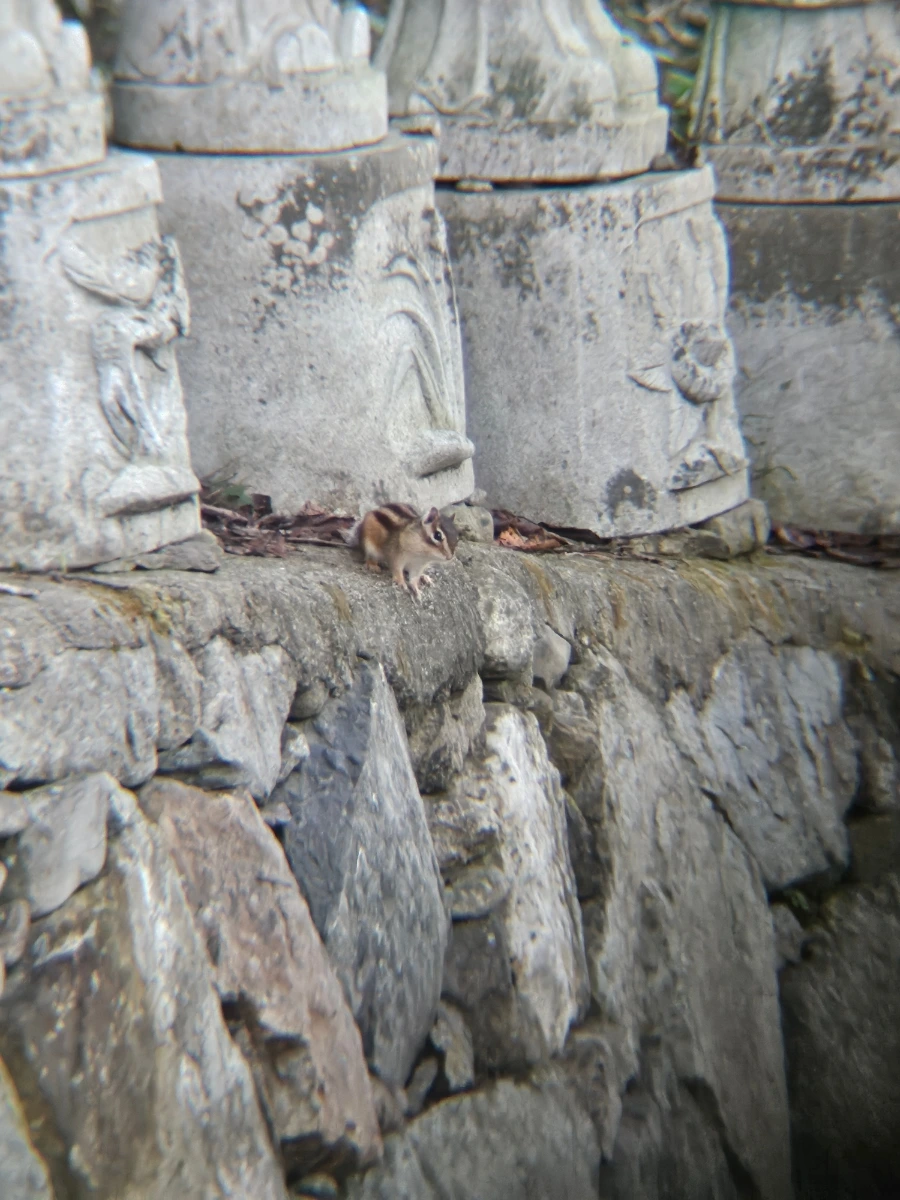 20241026%EF%BC%BF162829.jpg?type=w966