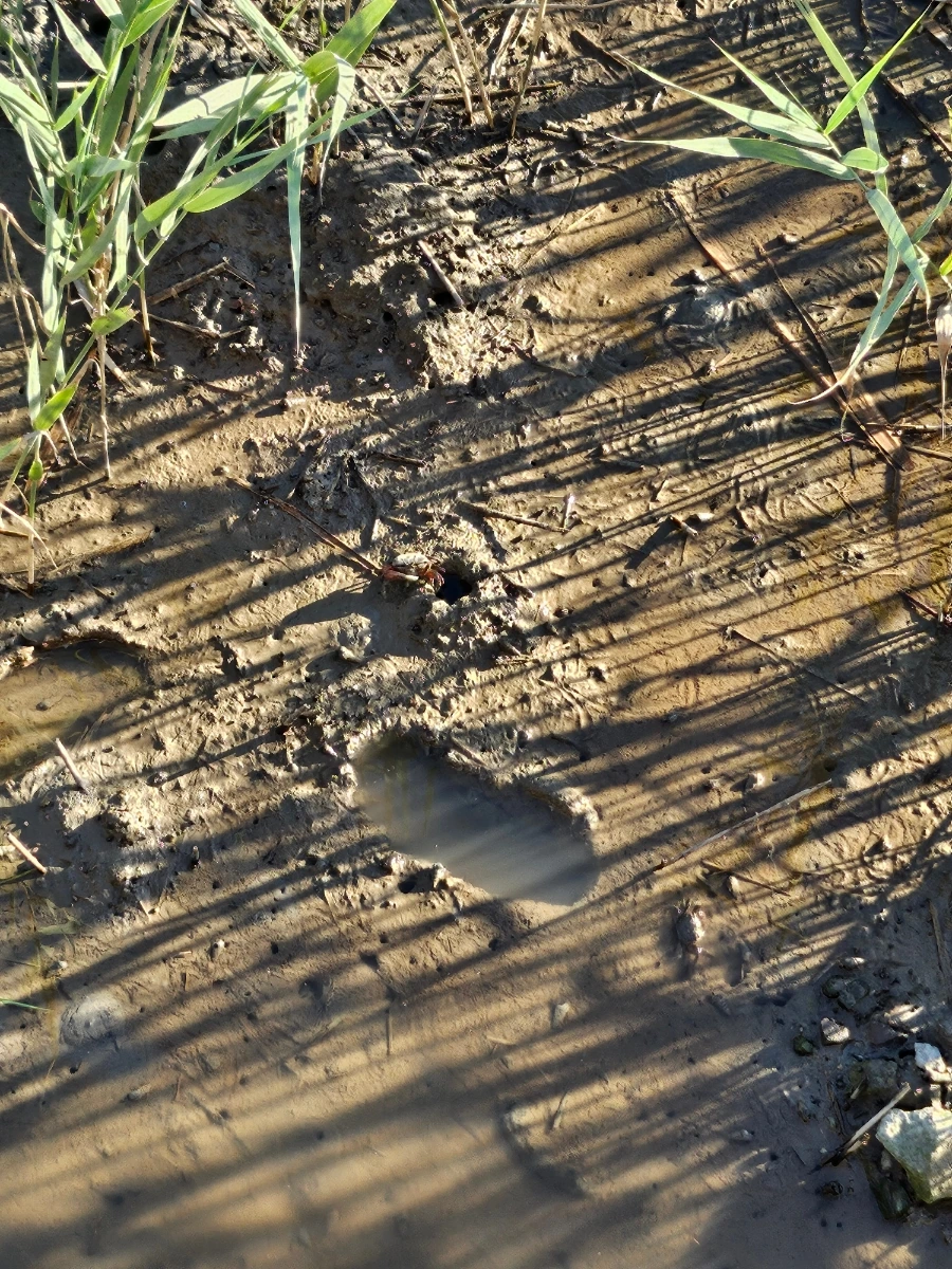 20241004%EF%BC%BF164251.jpg?type=w966