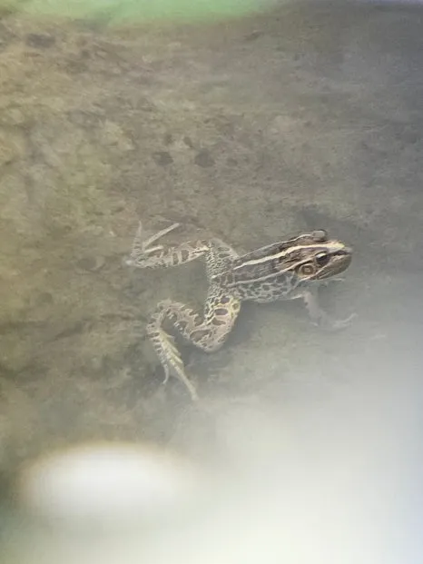 20241007%EF%BC%BF125954.jpg?type=w466