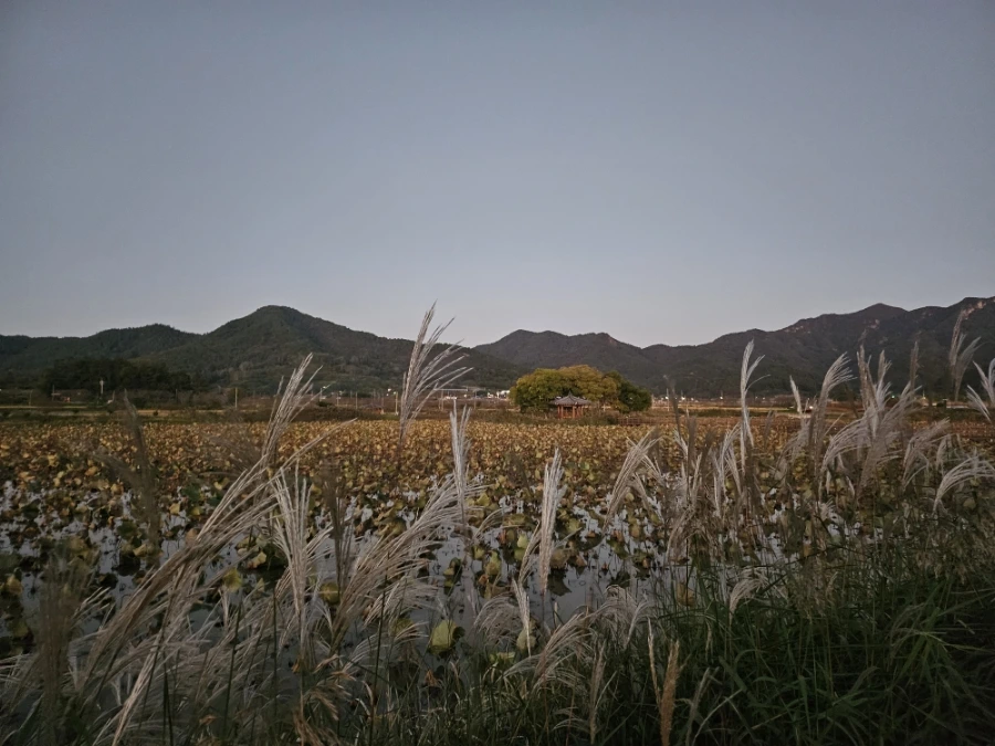 20241026%EF%BC%BF180910.jpg?type=w966