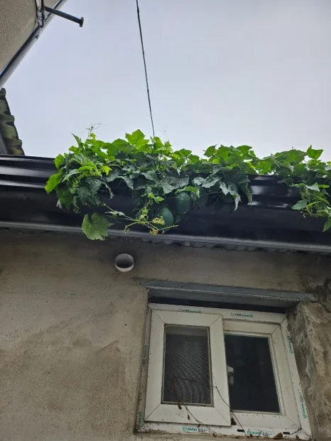 20241007%EF%BC%BF122035.jpg?type=w466