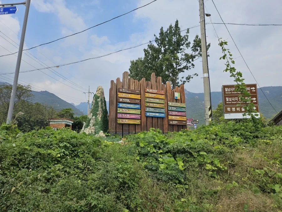 20241008%EF%BC%BF125347.jpg?type=w966