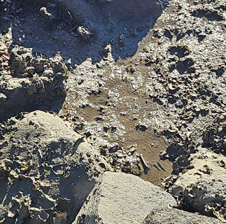 SE-ddcc6d07-83a1-11ef-b5df-f3d79fb31af5.jpg?type=w966