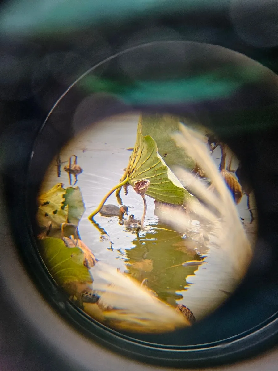 20241021%EF%BC%BF135953%EF%BC%881%EF%BC%89.jpg?type=w966