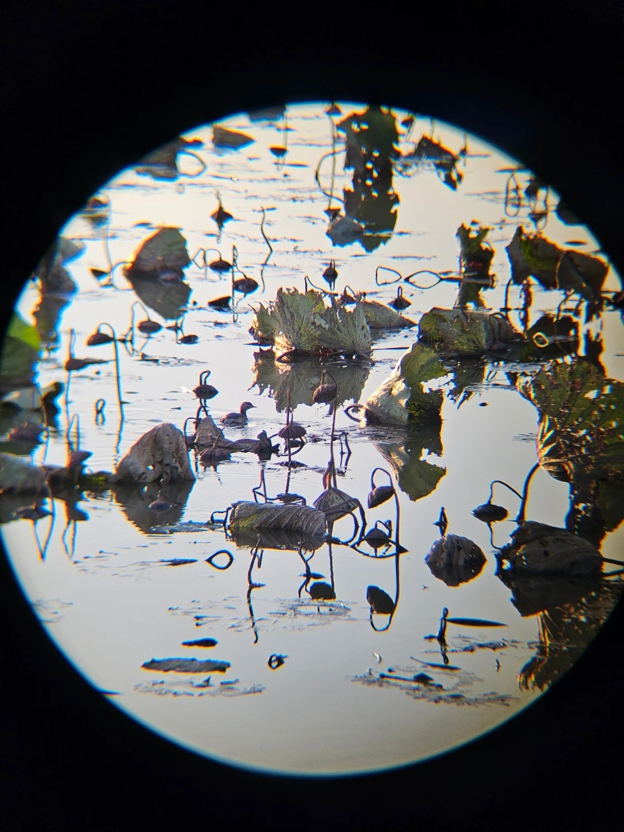 20241026%EF%BC%BF171916.jpg?type=w966