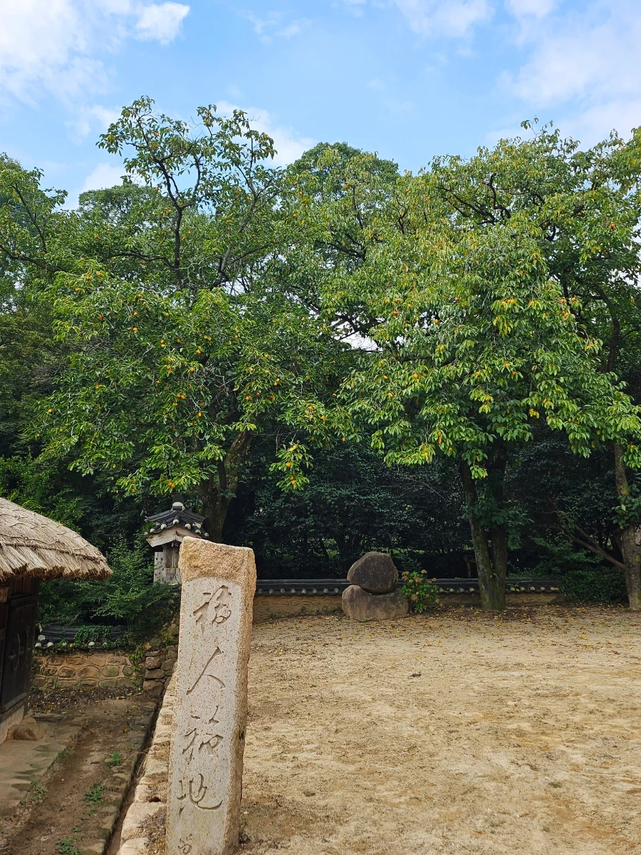 20241008%EF%BC%BF123434.jpg?type=w966