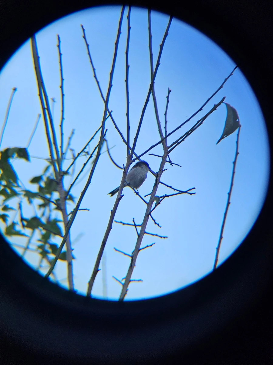 20241024%EF%BC%BF161433.jpg?type=w966