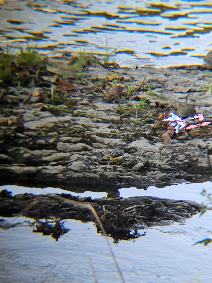 20241024%EF%BC%BF153031.jpg?type=w966