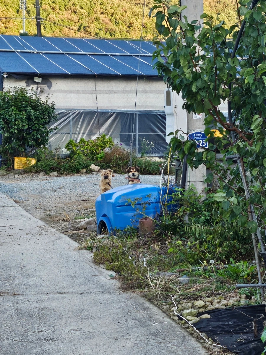 20241024%EF%BC%BF170909.jpg?type=w966