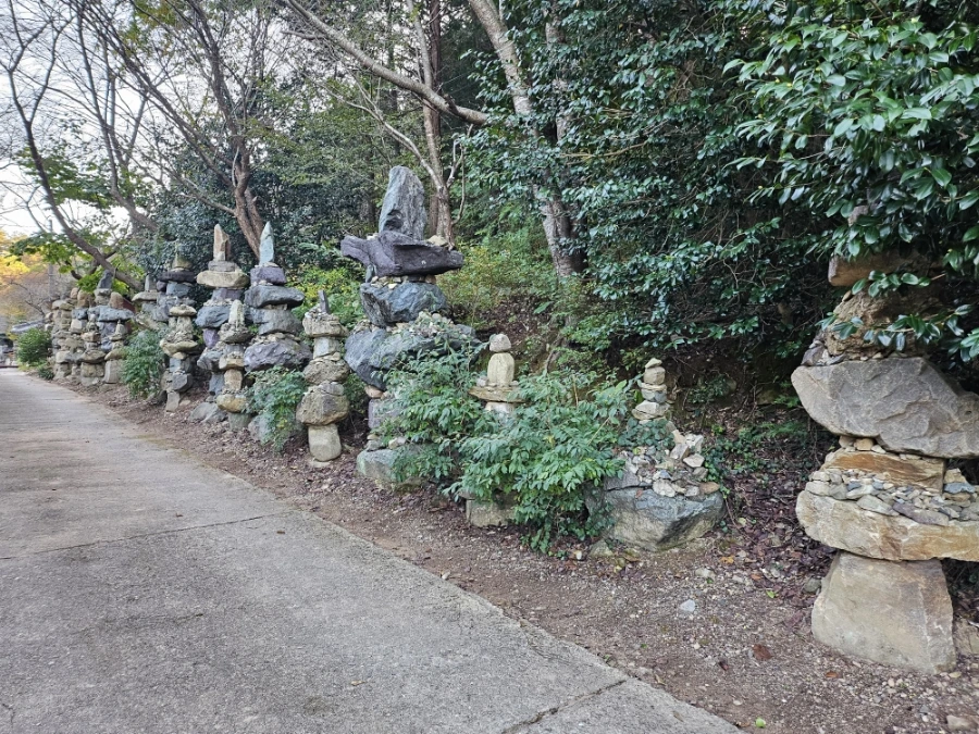 20241026%EF%BC%BF162337.jpg?type=w966