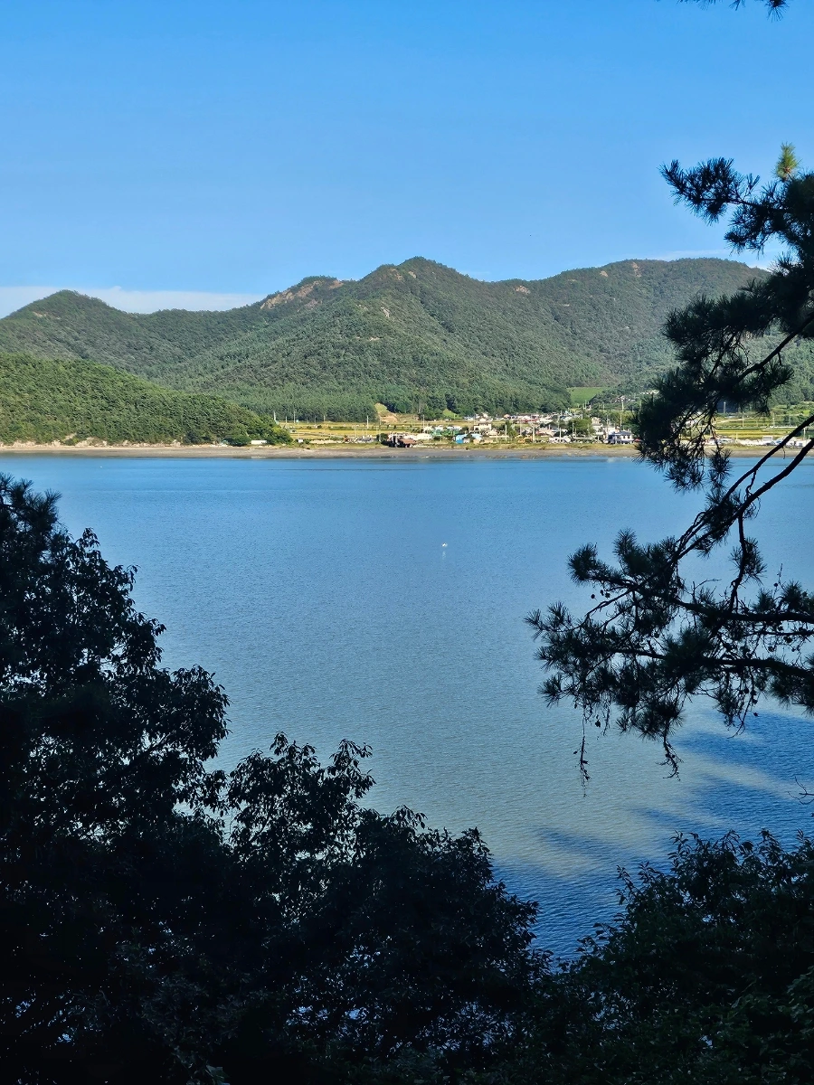 20241005%EF%BC%BF160014.jpg?type=w966