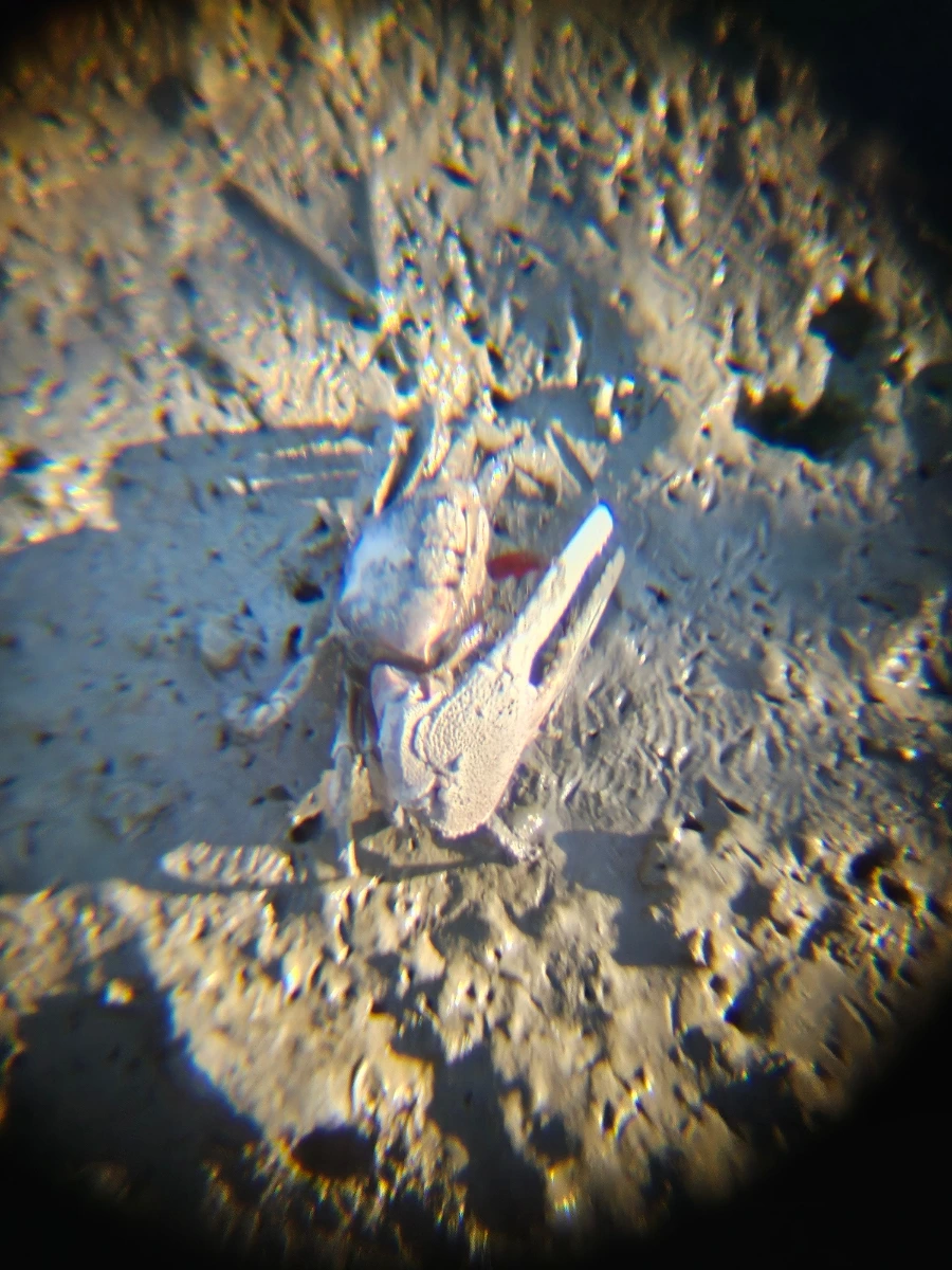 20241004%EF%BC%BF164808.jpg?type=w966