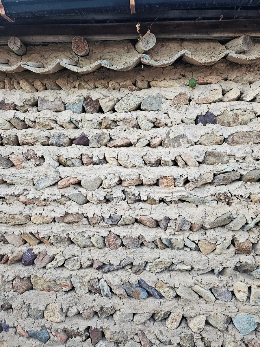 20241024%EF%BC%BF172631.jpg?type=w966