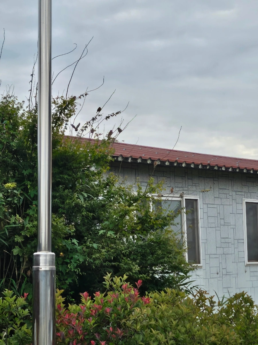 20241021%EF%BC%BF142752.jpg?type=w966