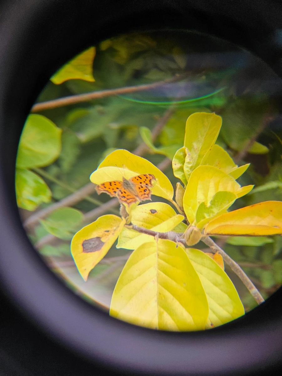 20241007%EF%BC%BF110722.jpg?type=w966