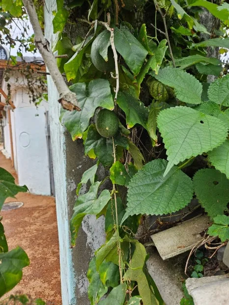 20241007%EF%BC%BF134359.jpg?type=w466