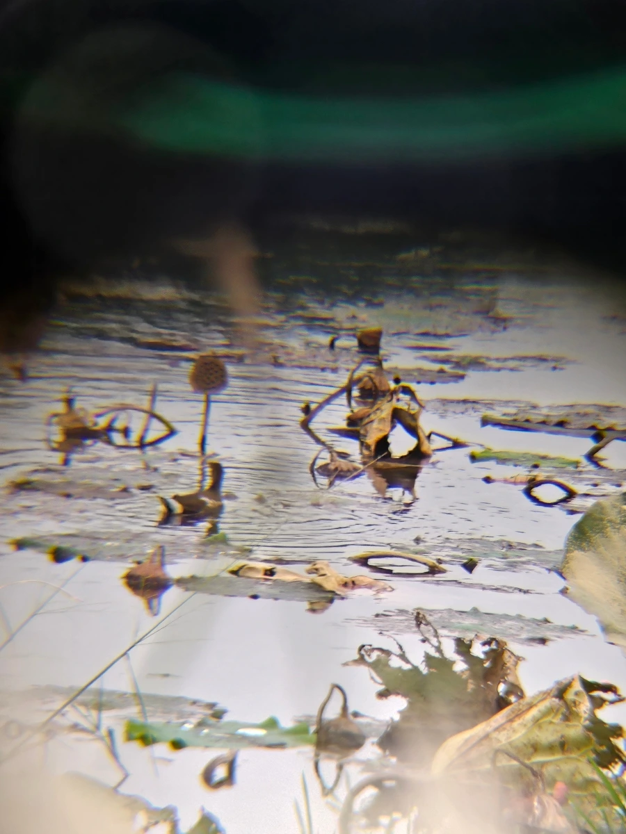 20241021%EF%BC%BF131839.jpg?type=w966