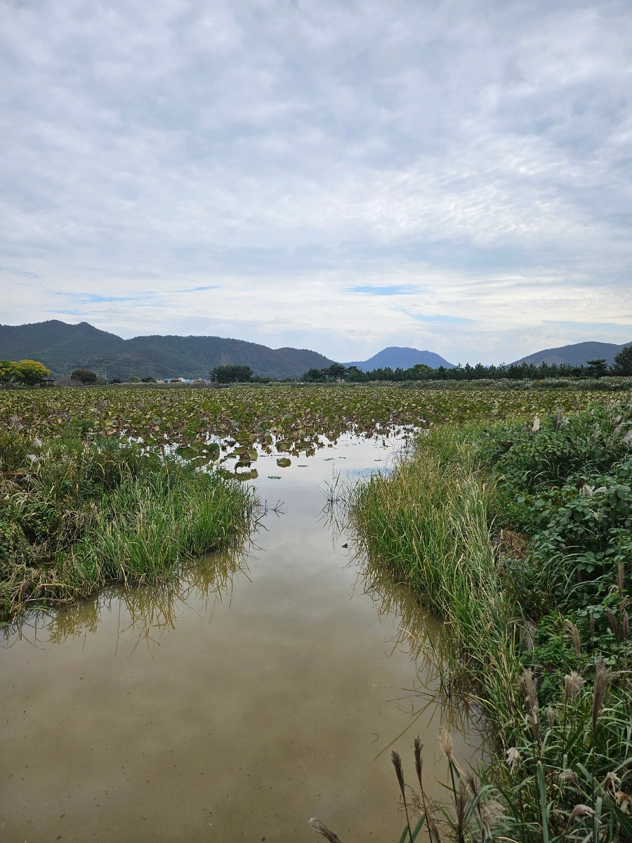 20241021%EF%BC%BF134344.jpg?type=w966