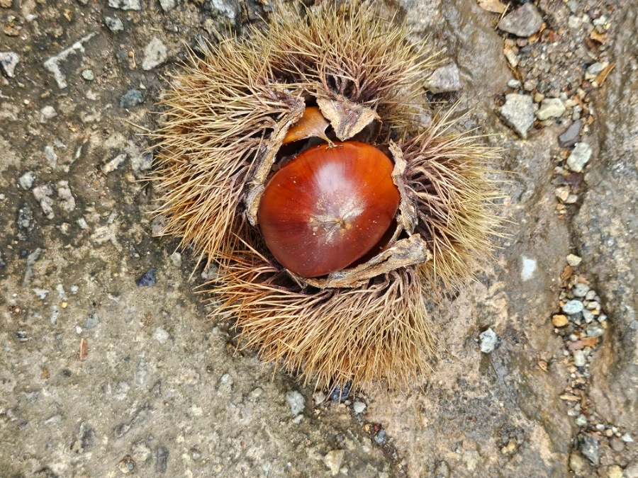 20241003%EF%BC%BF151243.jpg?type=w966