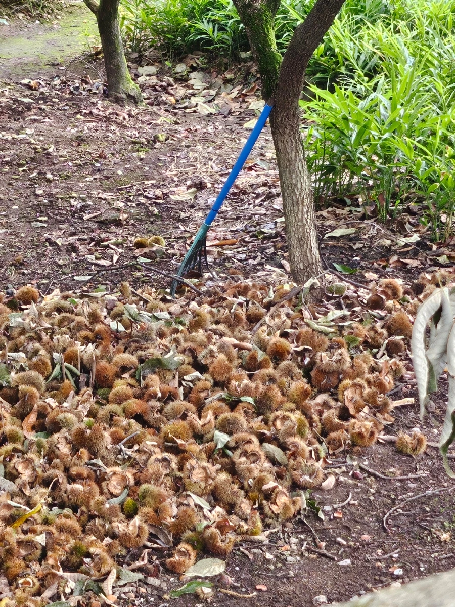 20241003%EF%BC%BF145529.jpg?type=w966