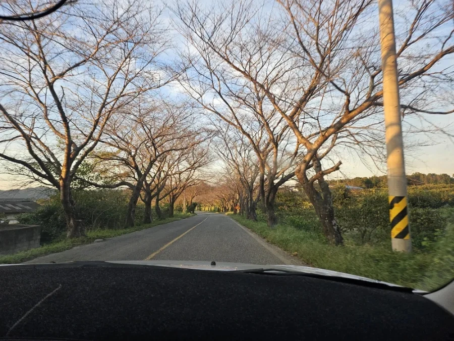 20241002%EF%BC%BF175730.jpg?type=w966