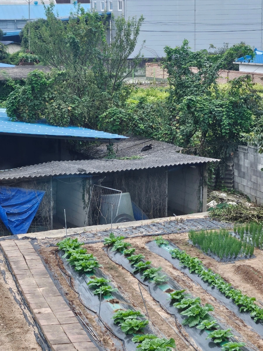 20241006%EF%BC%BF121755.jpg?type=w966