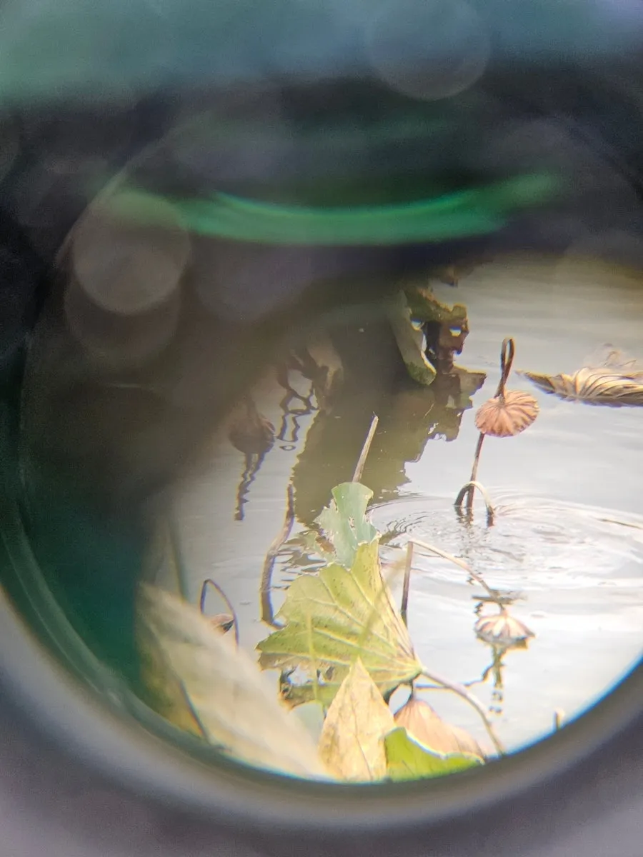 20241021%EF%BC%BF135944.jpg?type=w966