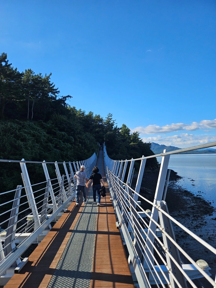 20241005%EF%BC%BF155516.jpg?type=w966