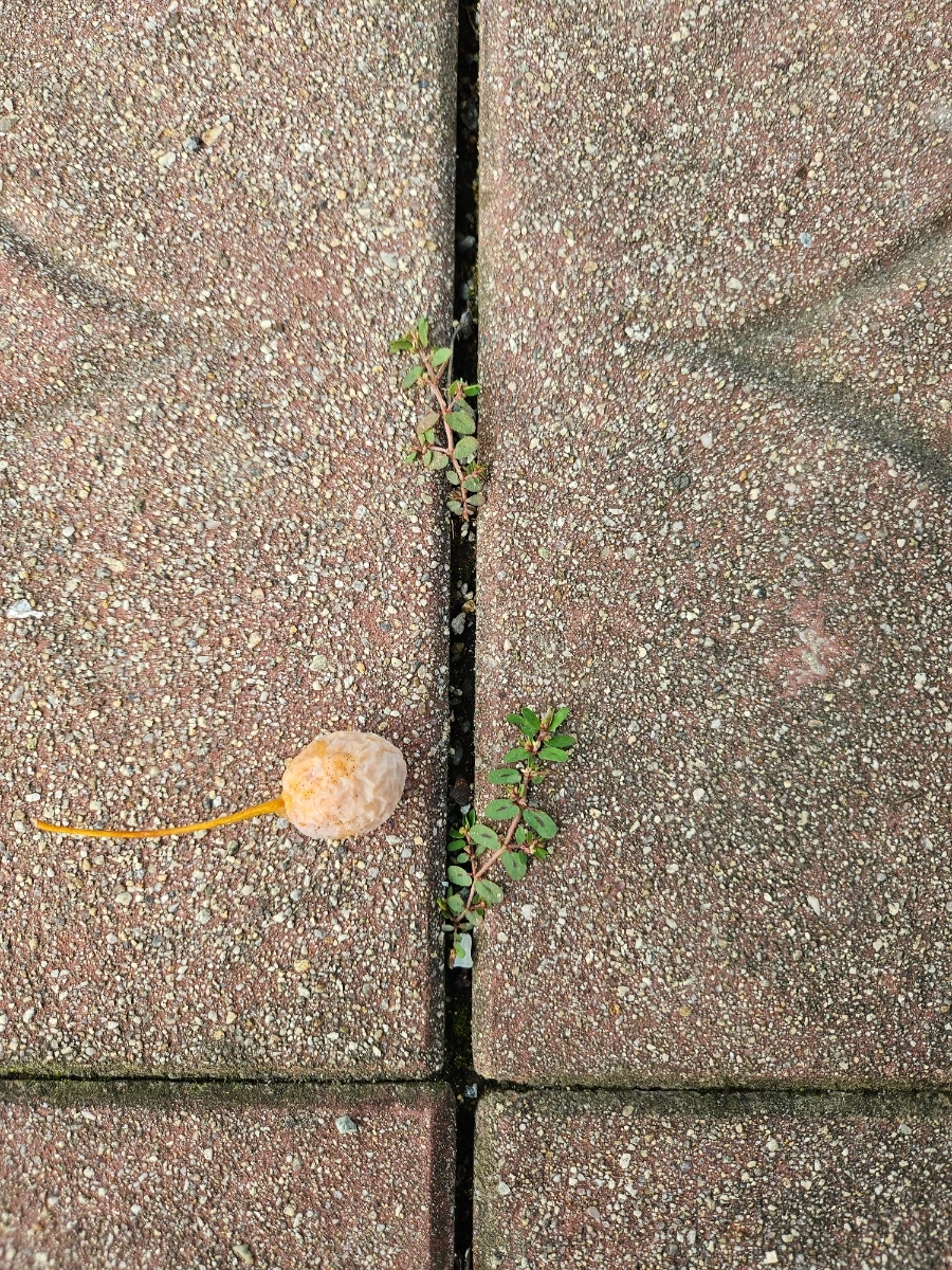 20241008%EF%BC%BF164026.jpg?type=w966