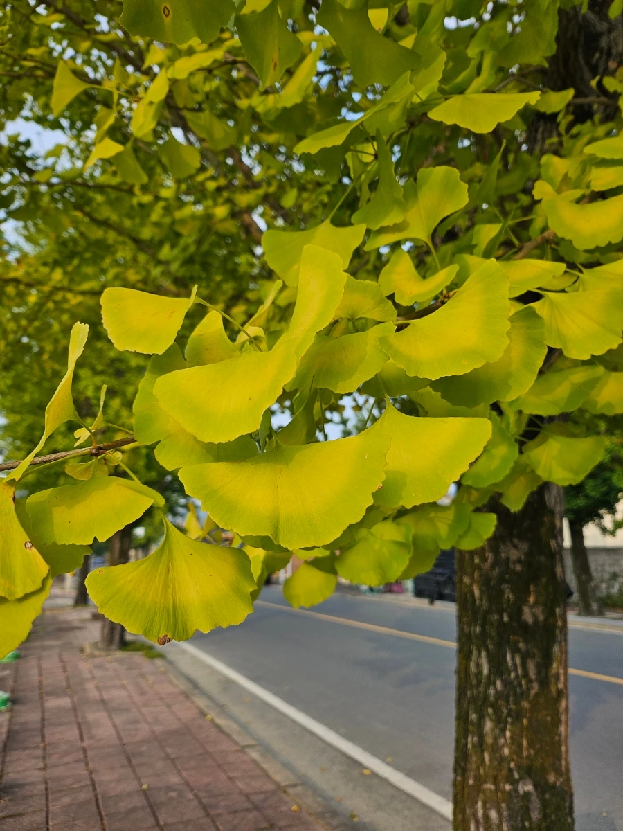 20241008%EF%BC%BF163914.jpg?type=w966