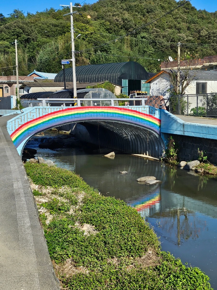 20241024%EF%BC%BF152704.jpg?type=w966