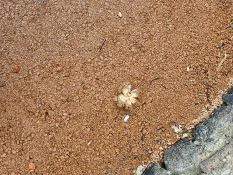 20241003%EF%BC%BF145438.jpg?type=w466