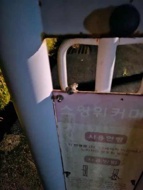 20241006%EF%BC%BF201412.jpg?type=w466