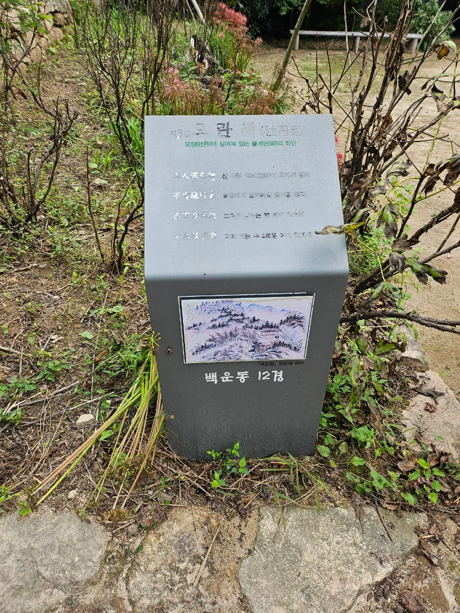 20241008%EF%BC%BF123351.jpg?type=w966