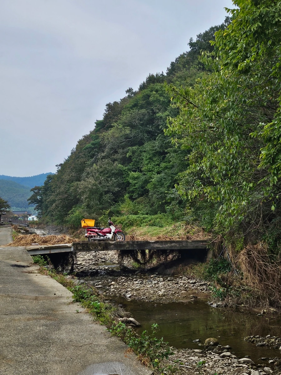 20241007%EF%BC%BF132645.jpg?type=w966