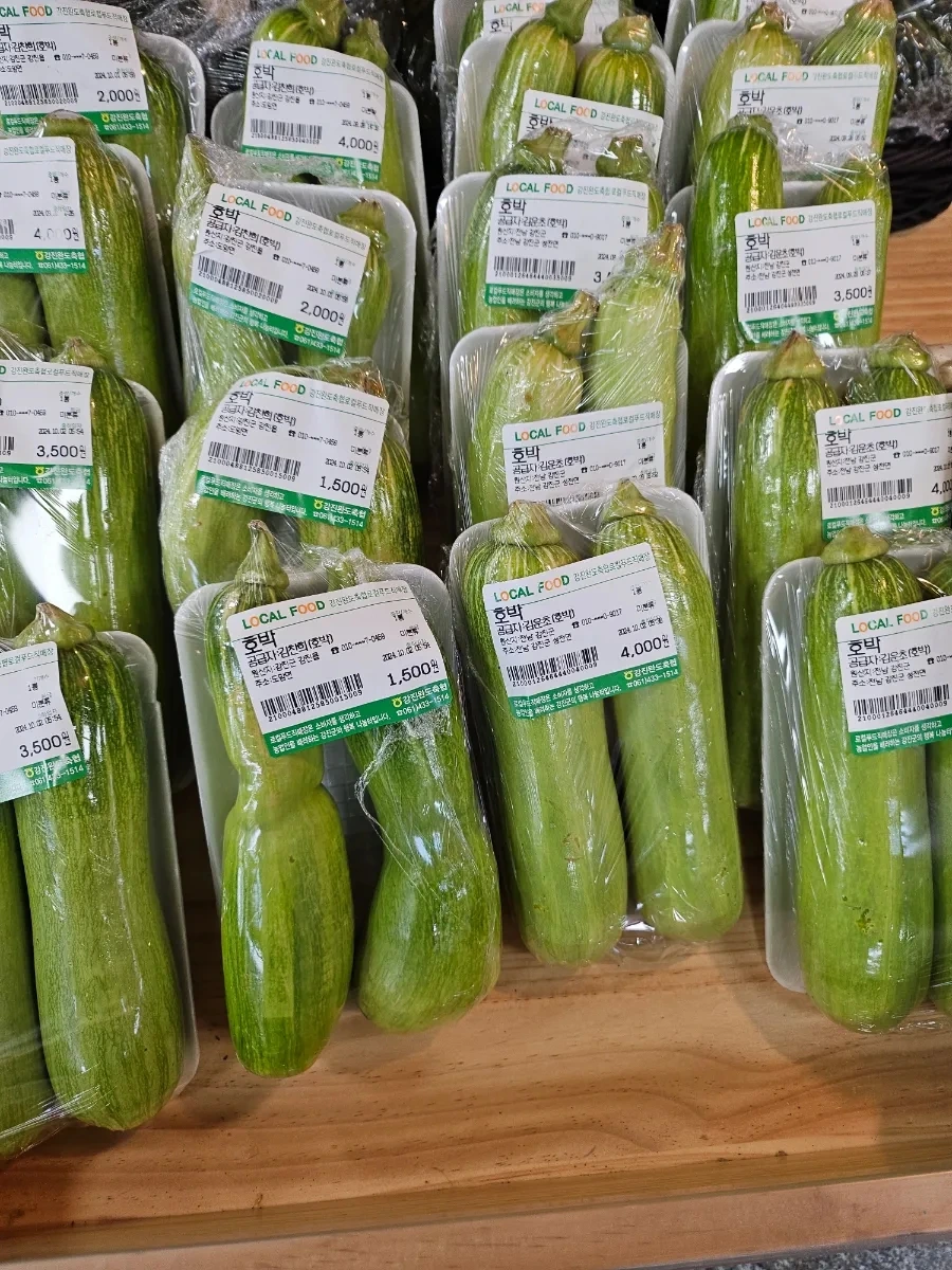 20241002%EF%BC%BF172845.jpg?type=w966