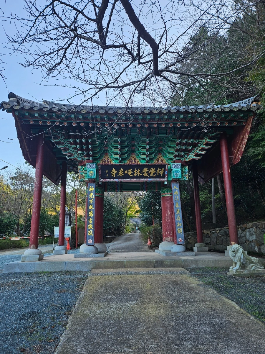 20241026%EF%BC%BF162426.jpg?type=w966