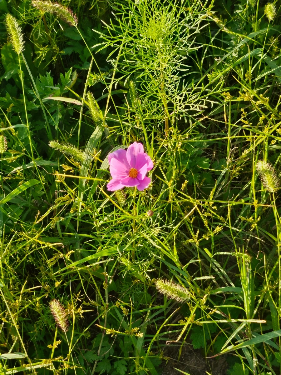 20241004%EF%BC%BF170003.jpg?type=w966