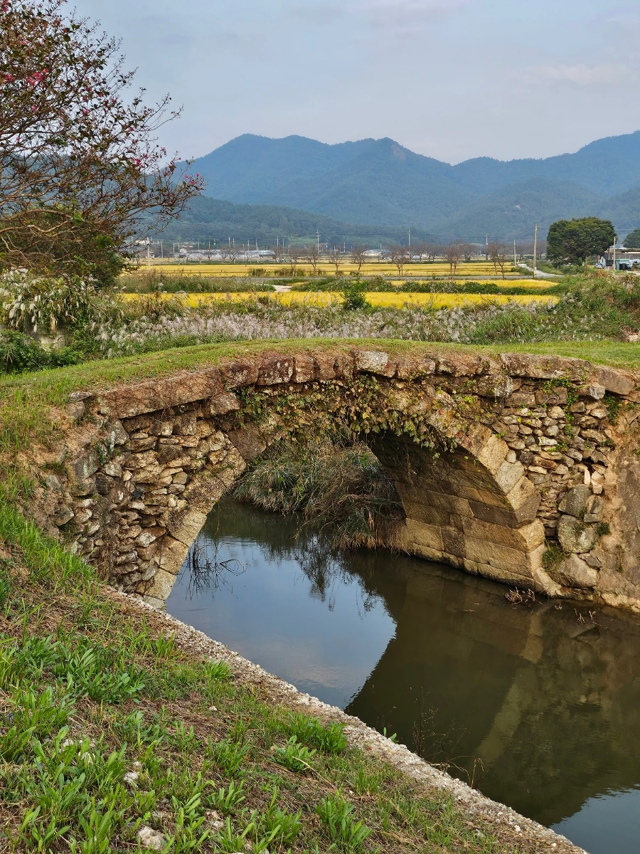 20241008%EF%BC%BF171406.jpg?type=w966