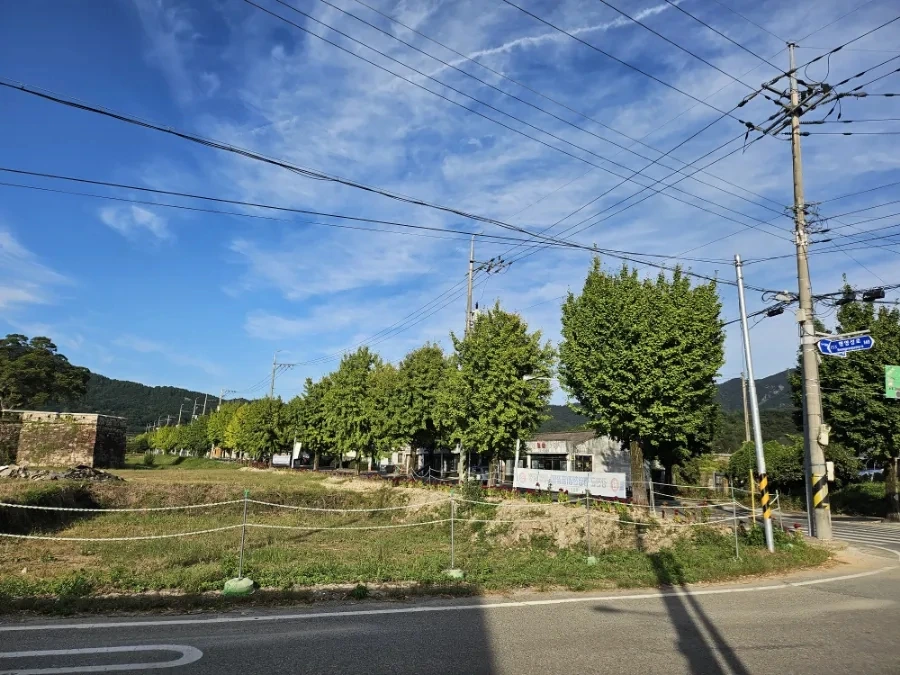 20241002%EF%BC%BF162751.jpg?type=w966