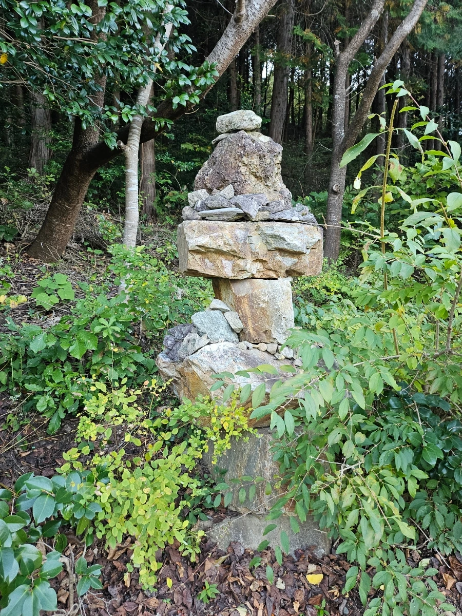 20241026%EF%BC%BF162501.jpg?type=w966