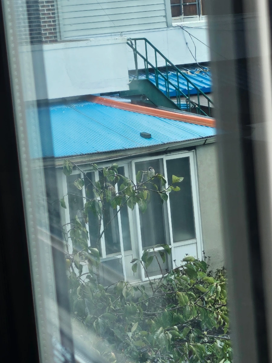 20241003%EF%BC%BF101740.jpg?type=w966