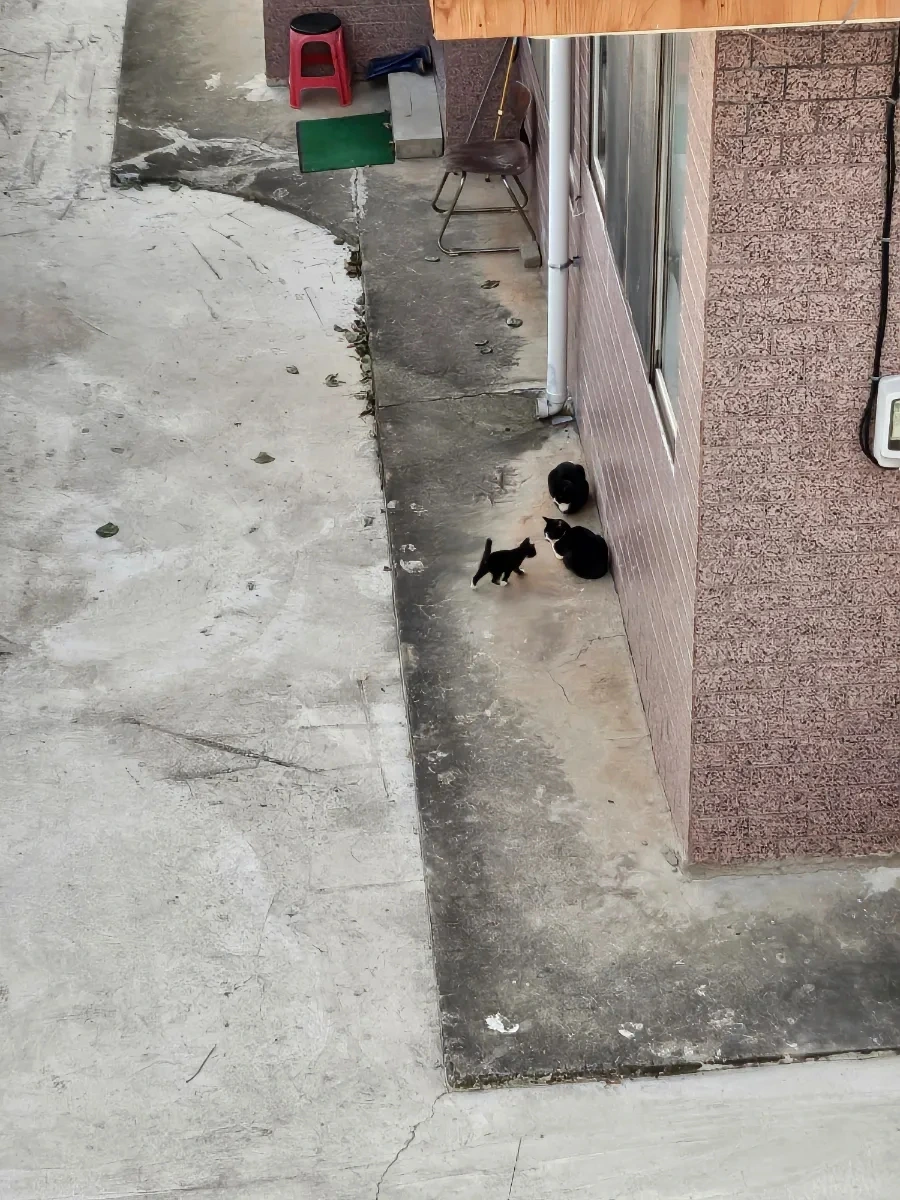 20241002%EF%BC%BF181328.jpg?type=w966