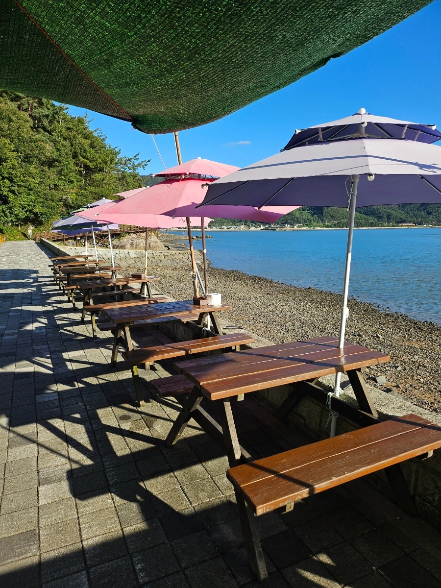 20241005%EF%BC%BF162847.jpg?type=w966