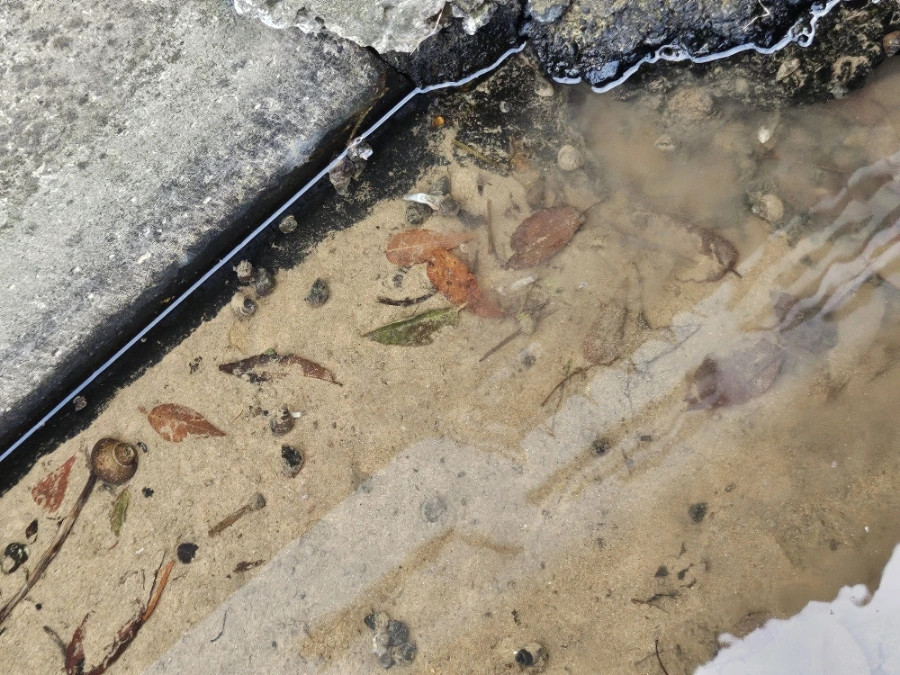 20241008%EF%BC%BF170027.jpg?type=w966